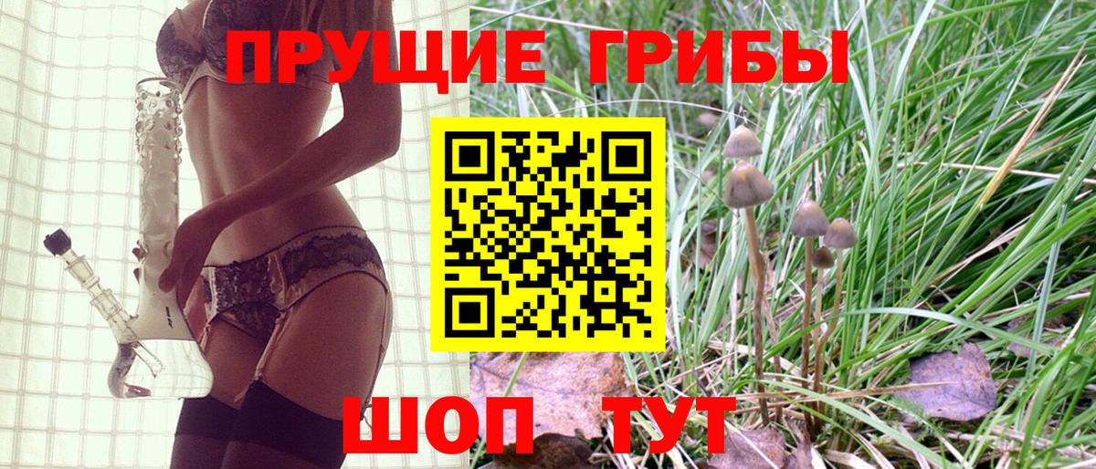 Лангепас  Псилоцибиновые грибы Magic Shrooms  Вход с VPN  цена   Галлюциногенные грибы Cubensis 