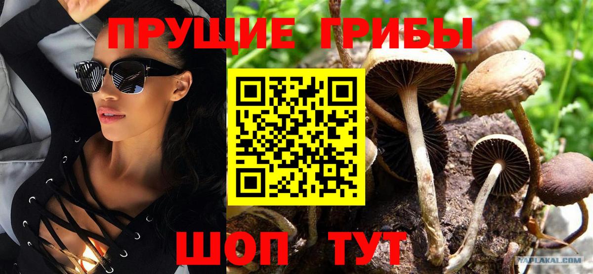Псилоцибиновые грибы мицелий Лангепас